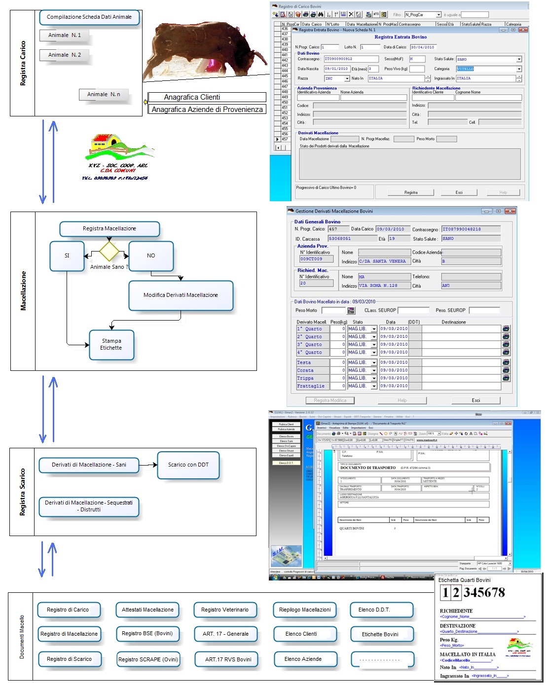 Diagramma Flusso Software Mac. Diagramma Flusso Software Mac.